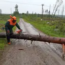 Detta hände under torsdagen