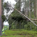 När stormen mojnat