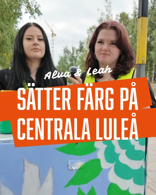 2025 09 Vi Sätter Färg På Luleå Hermelinsparken 1080X1920 V1