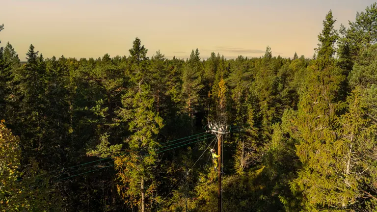 Stolpklättring Sm (1)