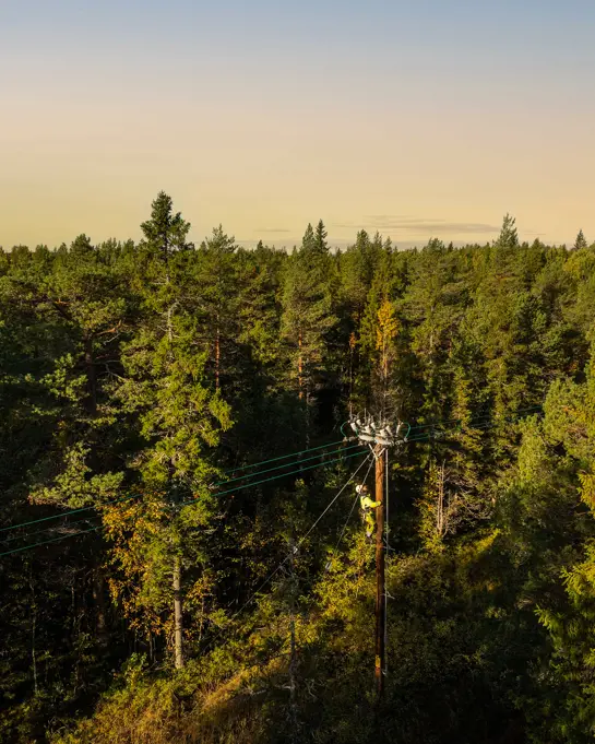 Stolpklättring Sm (1)